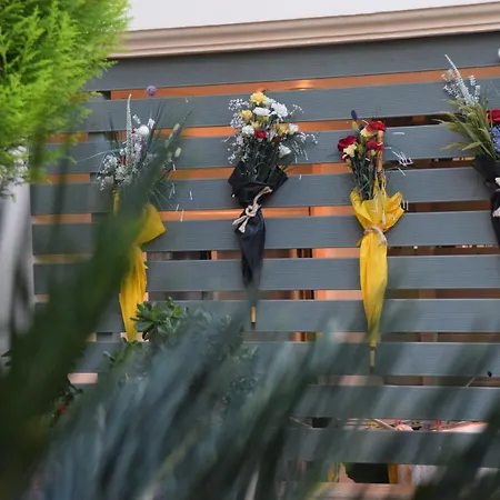 Apartament Theoni's *